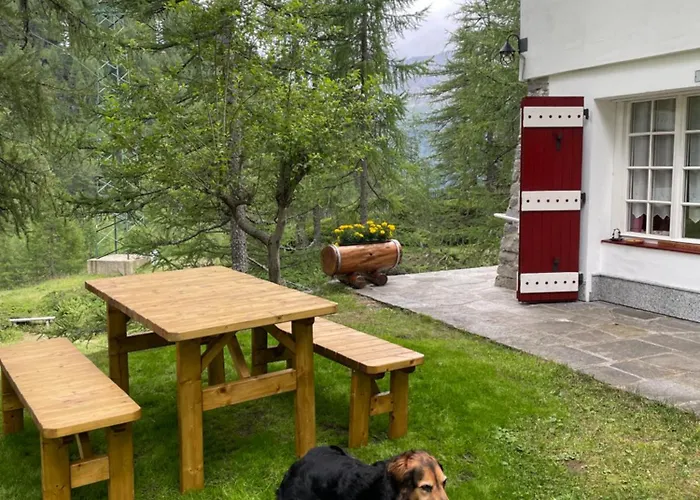 Daire I Larici - Per Sognare *